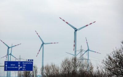Ciemniejsza strona zielonej energii – jakie są wady elektrowni wiatrowych?