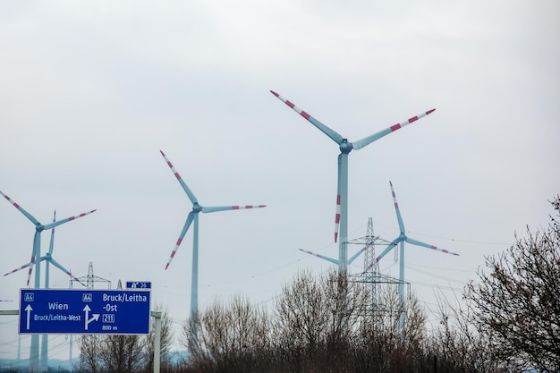 Ciemniejsza strona zielonej energii – jakie są wady elektrowni wiatrowych?