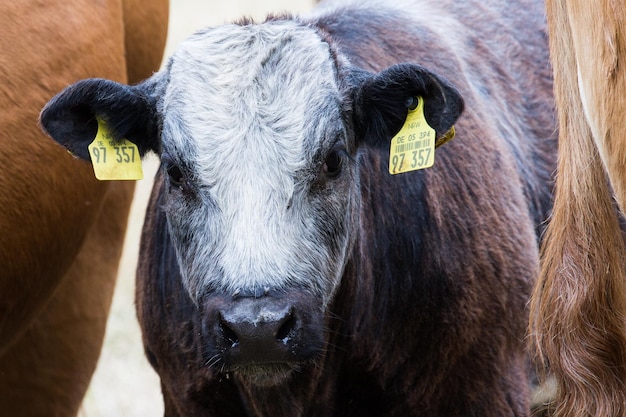 Bik jak sprawdzić czy jestem w biku?