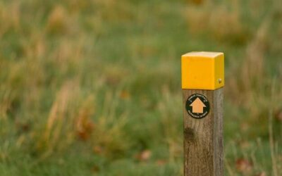 Wiata drewniana pozwolenie czy zgłoszenie?